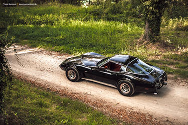 1979 Corvette C3 I