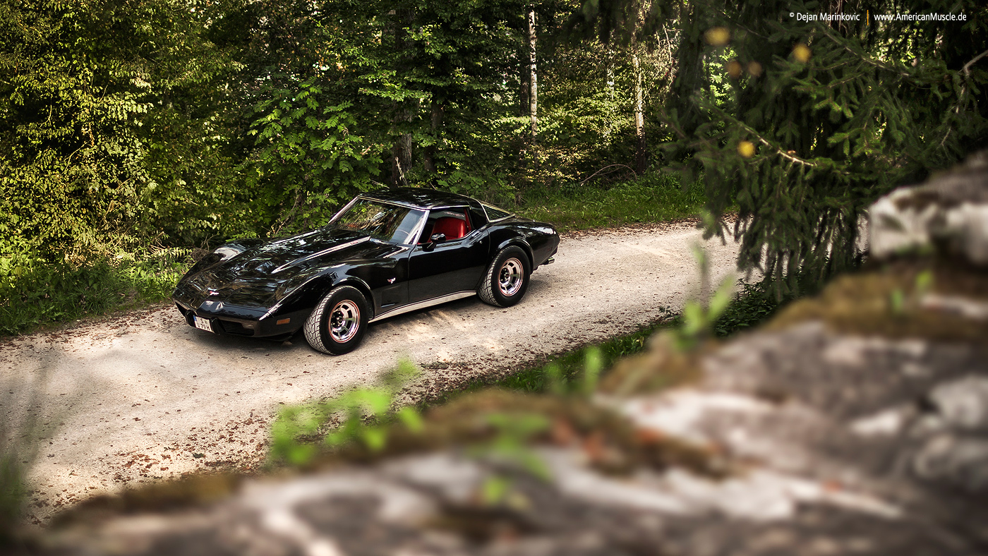 1979 Corvette C3 - Shot 4