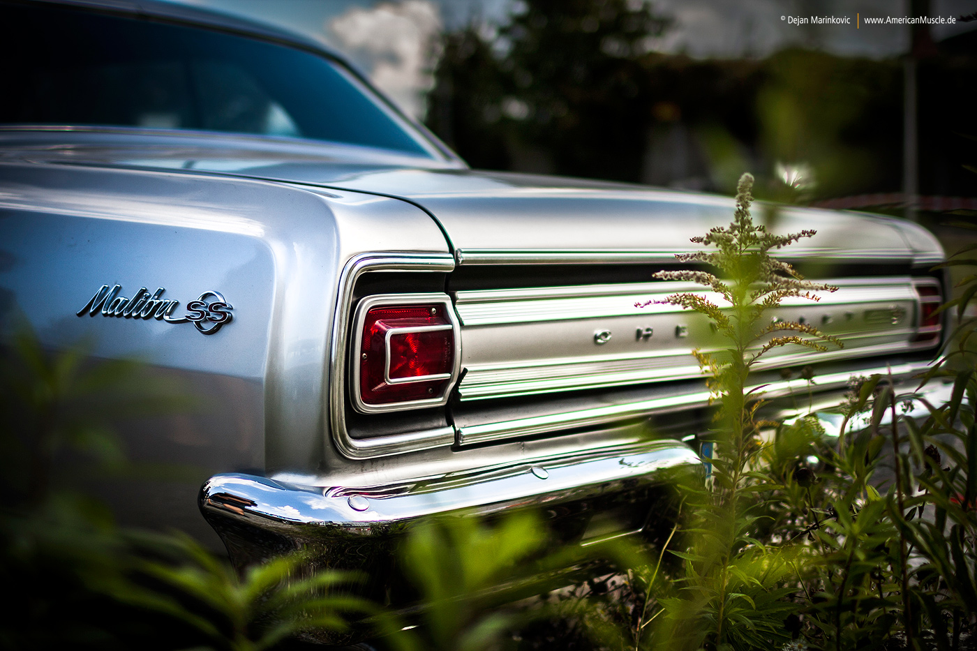 1965 Malibu SS Detail