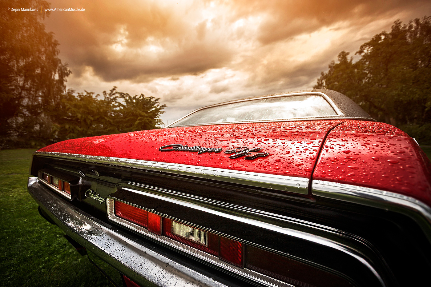 1971 Challenger Rear