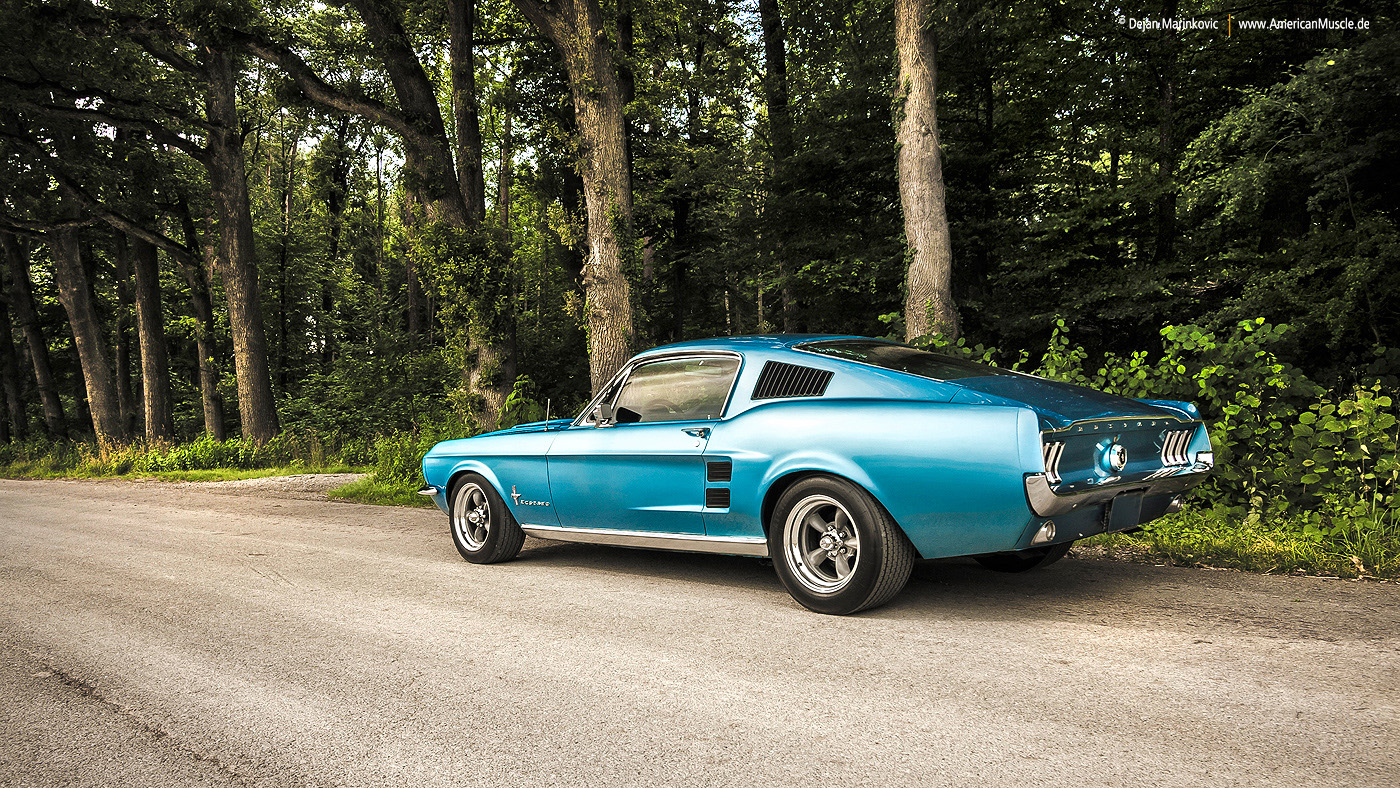 1967 Fastback - Shot 4