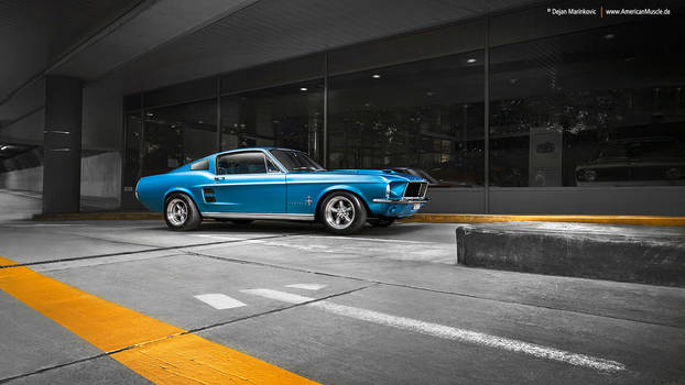 1967 Fastback - Shot 6