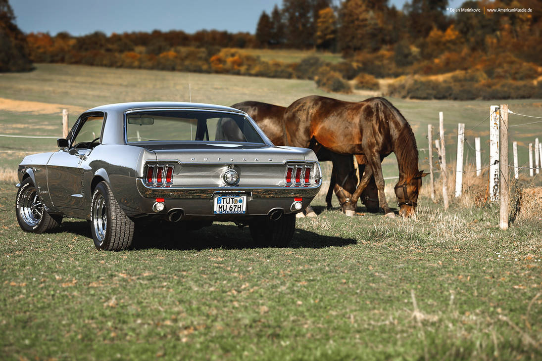 Мустанги сша. Форд Мустанг 1967. Пони кар. Форд Мустанг купе. Ford Mustang Pony car. Мустанг 68 купе.
