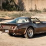 1979 Corvette C3 Survivor - Shot 1