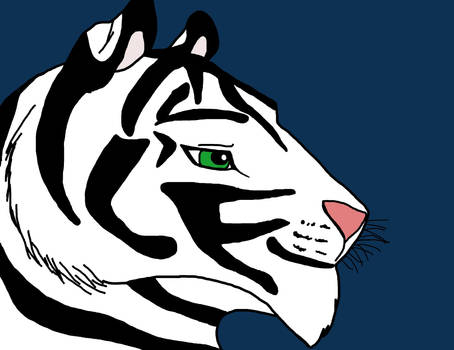 Alel the white tiger- Redone