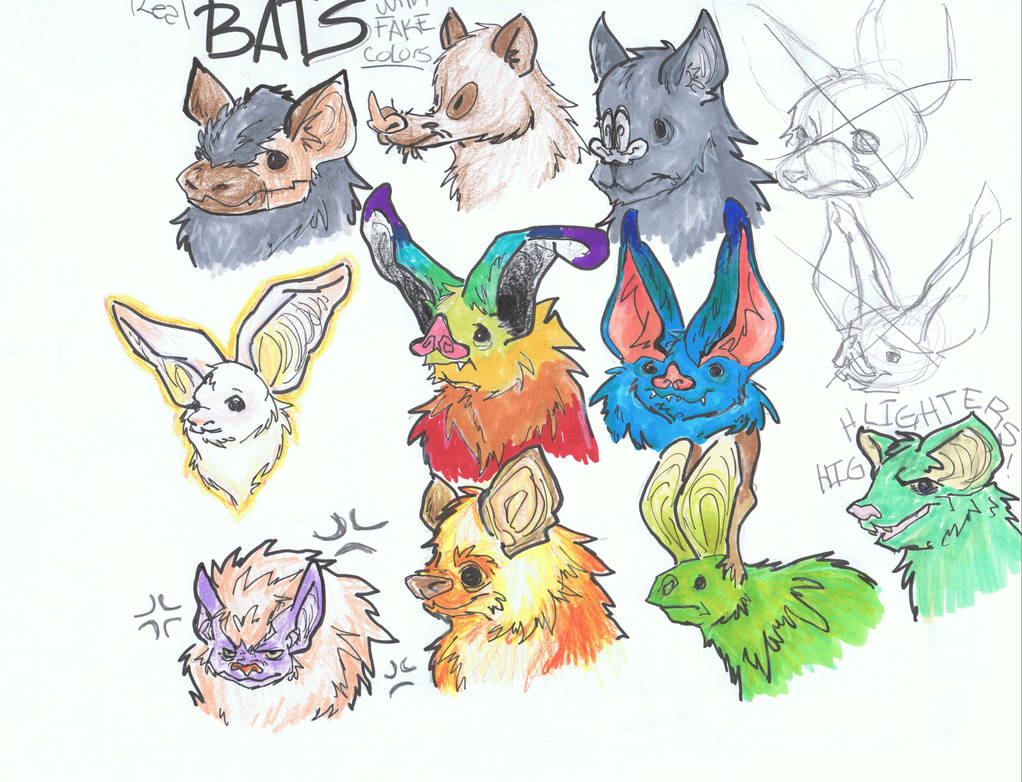 Colorful Bats Deviantart Colorful Bats by theunknownpear on DeviantArt
