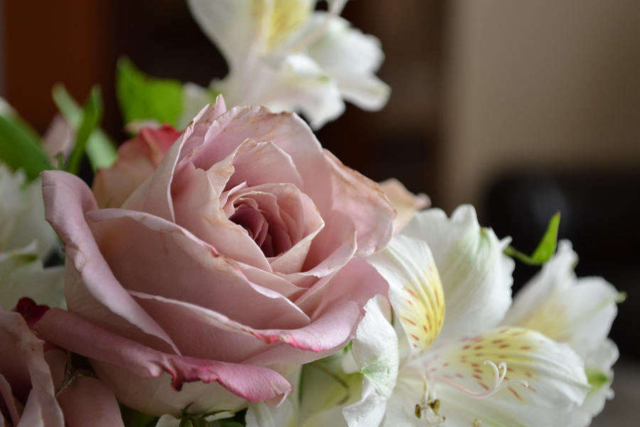 Mother's Day Flowers