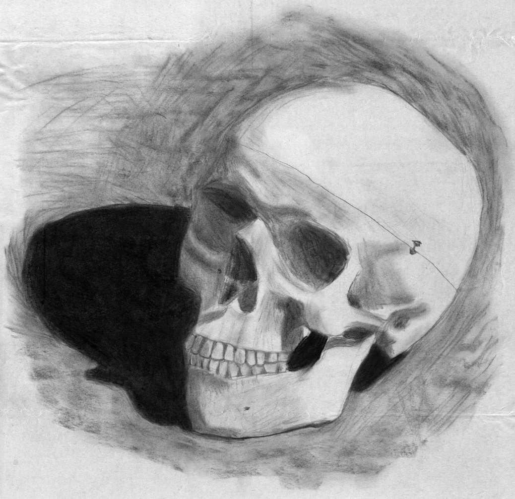 Skull