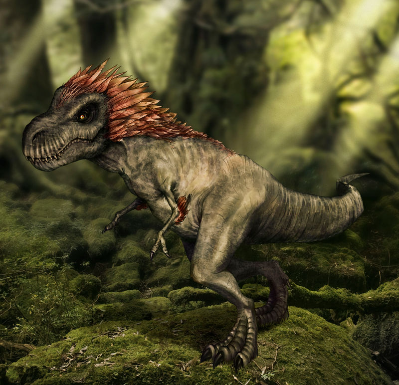 Kind Of Feathered T Rex By DaniDL On DeviantArt kind-of-feathered-t-rex-by-danidl-on-deviantart