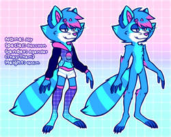 Jay the Raccoon - Design Reference