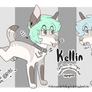 Kellin Ref 2017