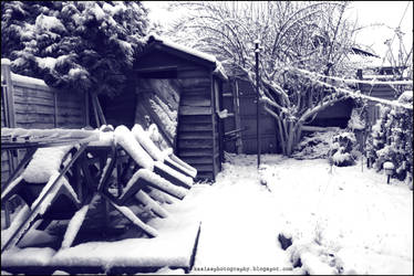 My snowy Backgarden.