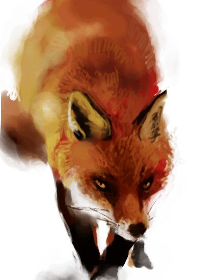 foxfox