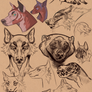 Sep-Dec Art Dump