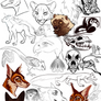2025 Sketches