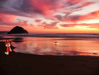 freedom. by Joshua-The-Small-One
