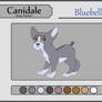 Canidale | Bluebell