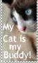My Cat is My Buddy Stamp