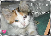 Blind Kitties are Courageous-Stamp