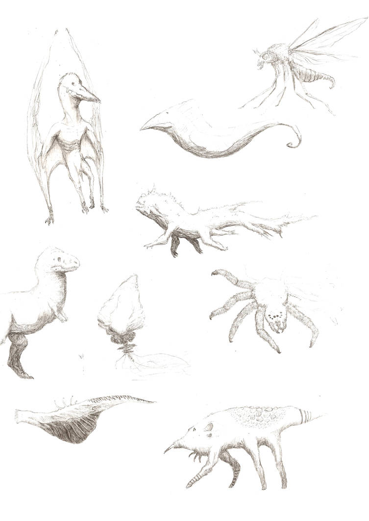 Creature Sketches By Lil Tachyon On DeviantArt creature-sketches-by-lil-tachyon-on-deviantart