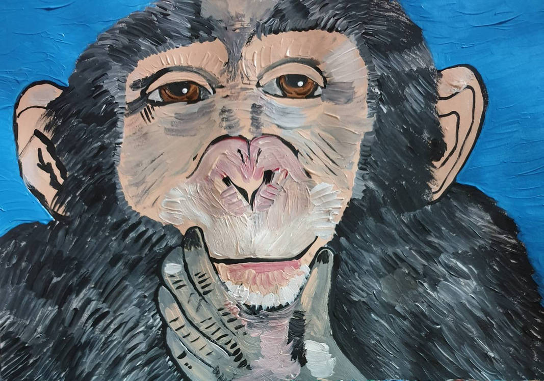 monkey by Abigail007bbw on DeviantArt