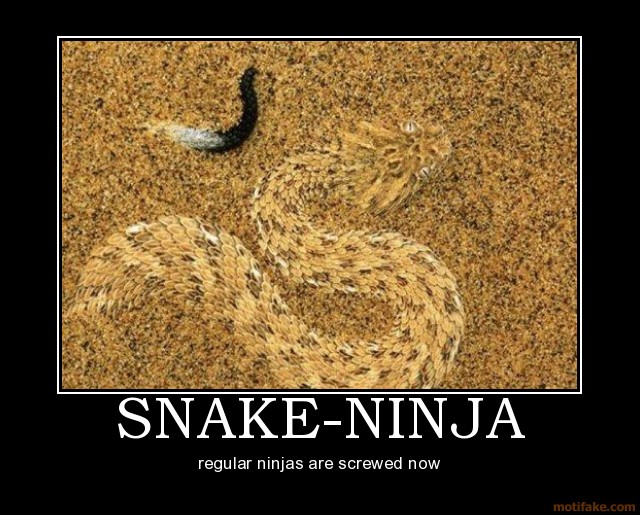 Ninja Snake