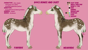8443 Bones and Dust | SOLD