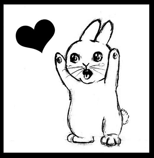 cute bunny  :3