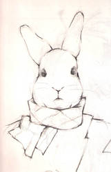 mr bunneh