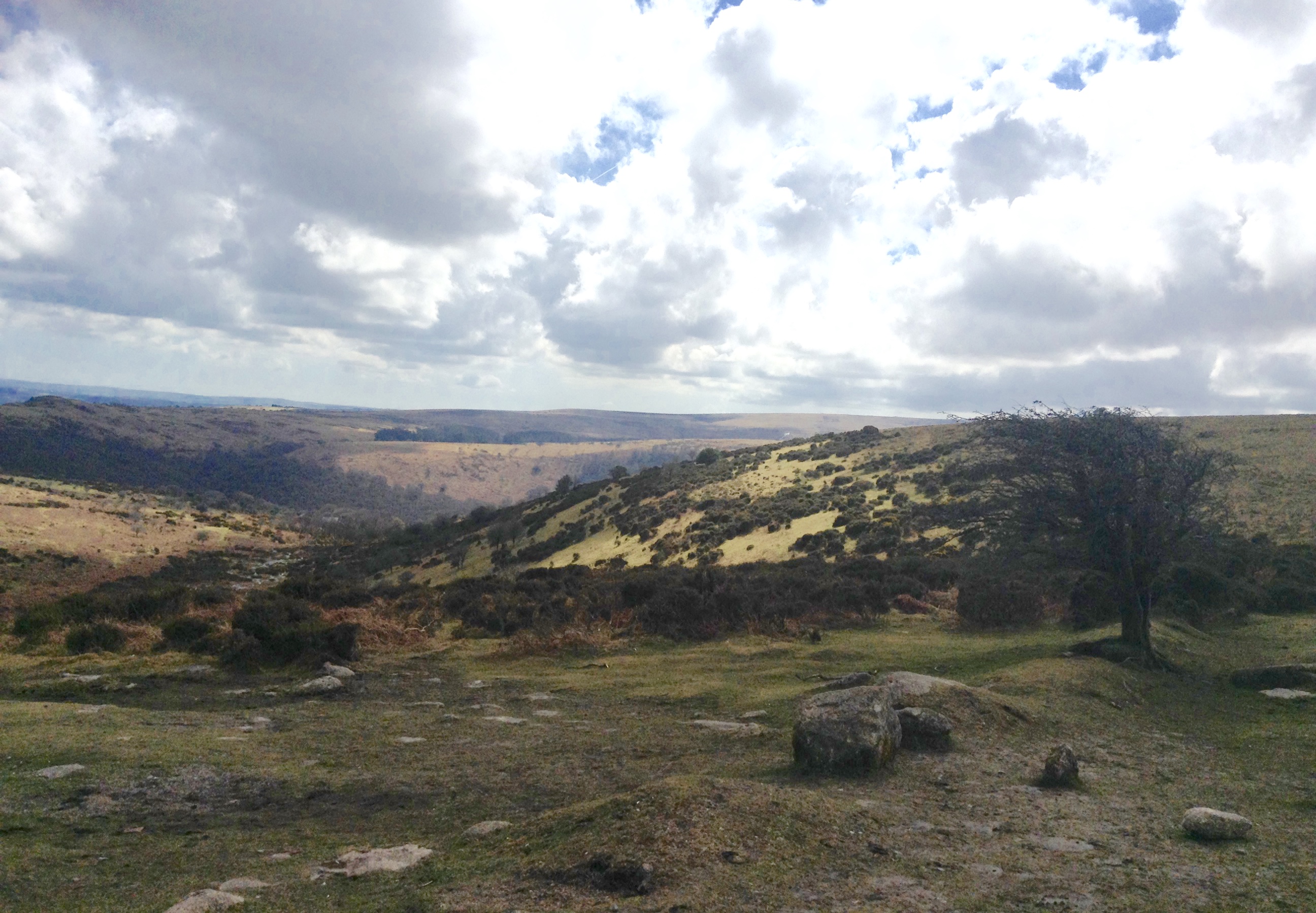 Dartmoor