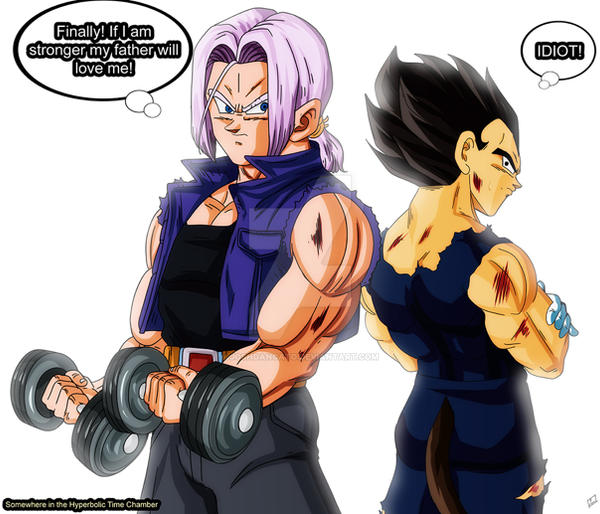 DBZ Hyperbolic Time Chamber by joshdancato on DeviantArt