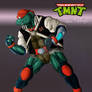 TMNT - Future Michelangelo Versus Pose