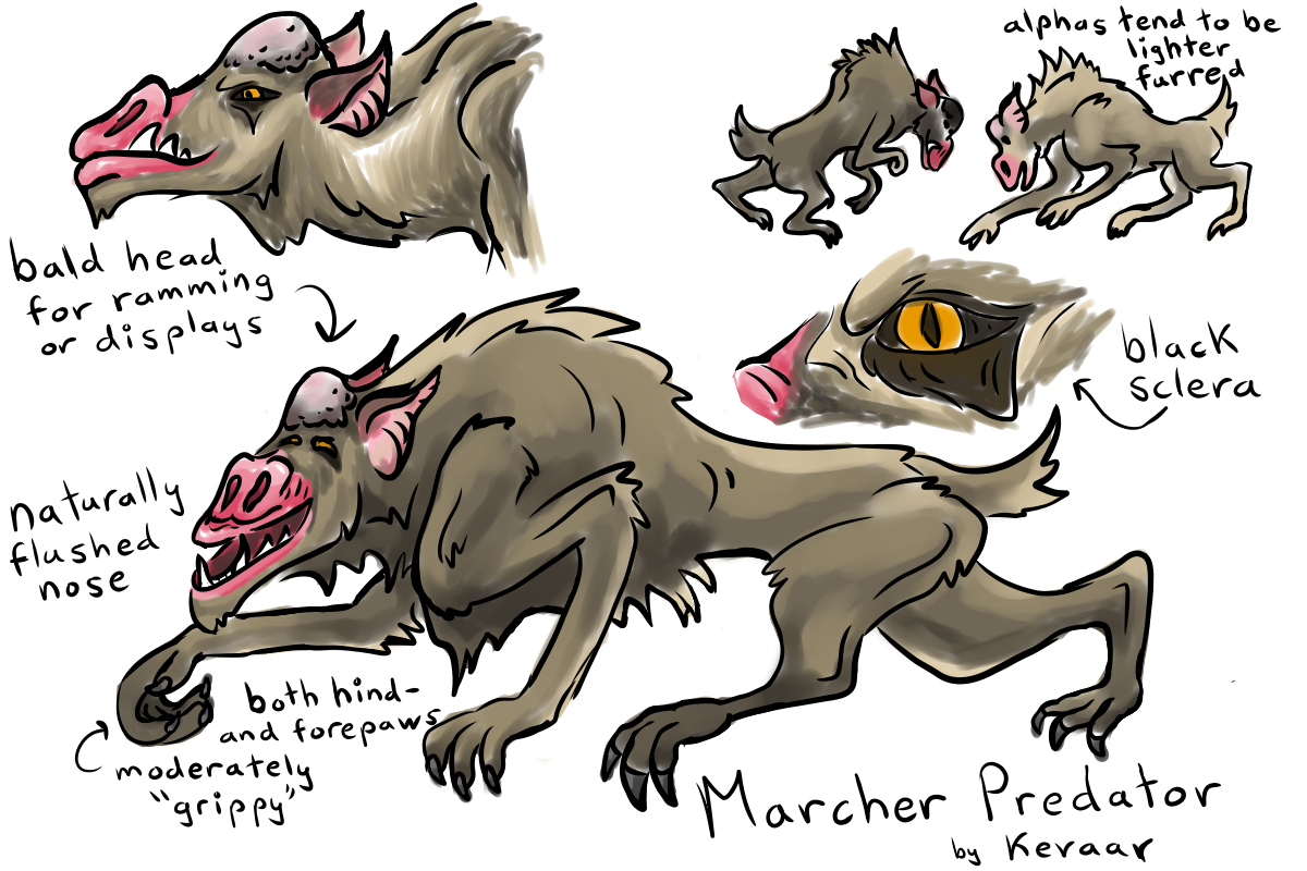 Valenwood Barghest by kevaarfoxfire on DeviantArt