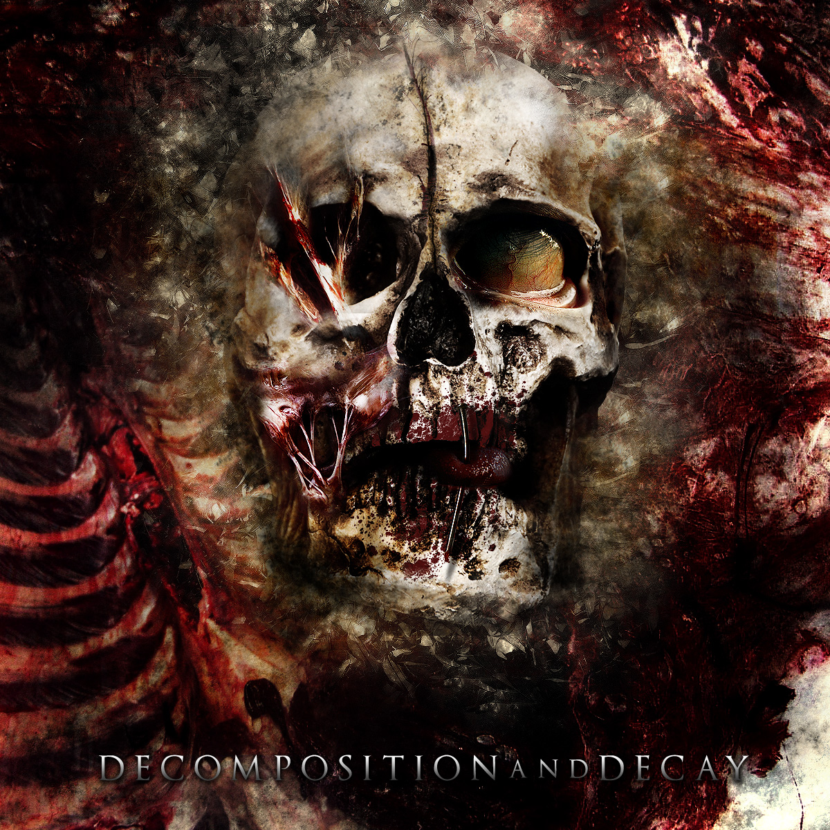 Decomposition and Decay