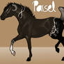 Parsel