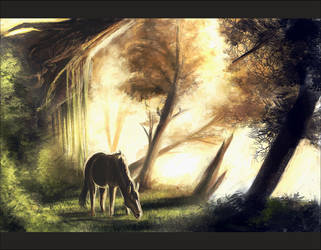 The Place the eye does not see by Claiy