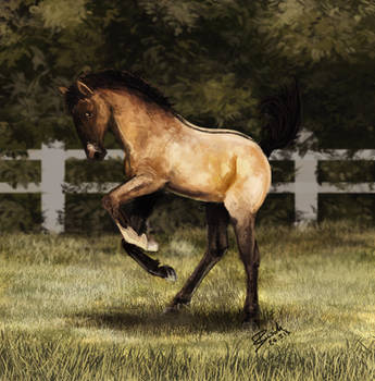 This one goes for Saphy by Claiy