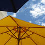 Umbrellas Under the Sun