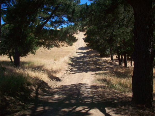 Shadow Road Shadow Road by Infamouslmc on DeviantArt