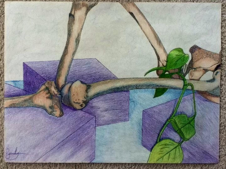 Bone Drawing Color Bones with color by Huuuuuuy on DeviantArt