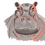The Endearing Expression of a Hippo