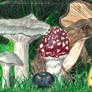 Magic Frog, Magic Mushrooms