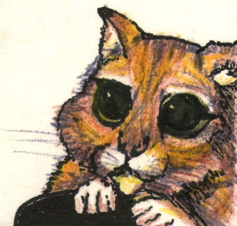 Sad Cat Eyes
