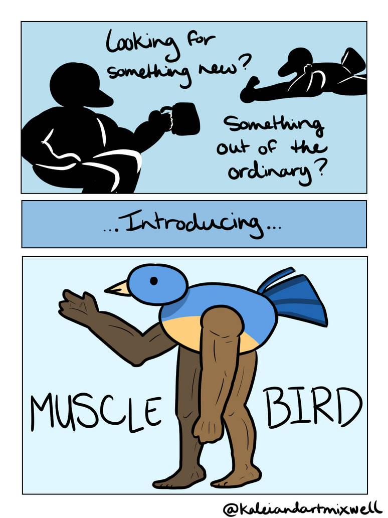 Bodybuilder Bird Muscle Bird - Introduction by kaleiandartmixwell on DeviantArt