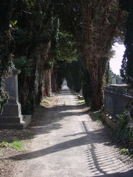 The Final Avenue