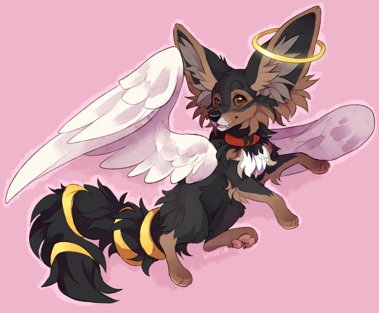 Kyote by woodelands on DeviantArt