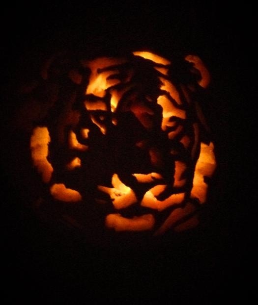 Tiger Pumpkin 2013