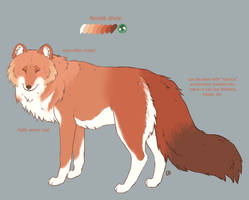 dhole