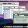 My Windows xp Leopard style