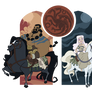 Sun and Moon